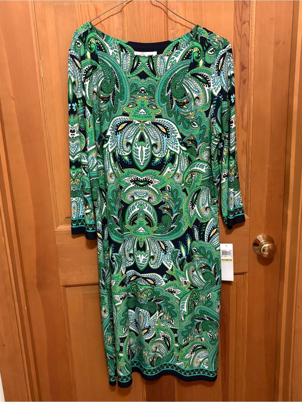 London Times NWT Green Blue Abstract Paisley-Print Lightweight Long Sleeve Dress